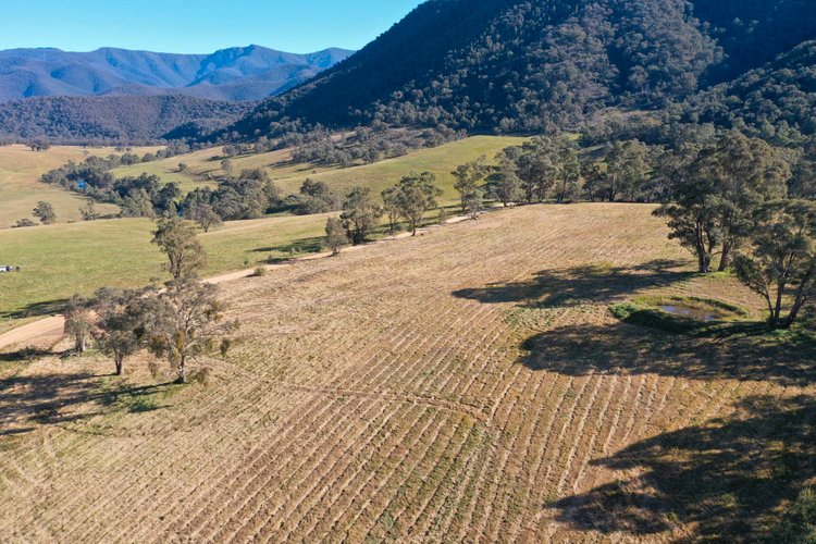 3L Wonnangatta Road, Dargo