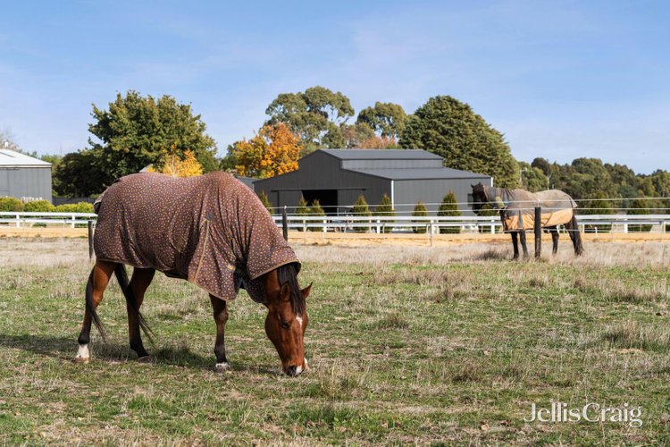 Lot 4 203 Sharpes Road Miners Rest 3352