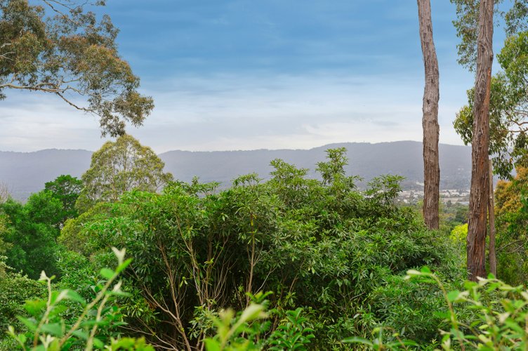 LOT 4/4 Vista Court Ringwood East 3135