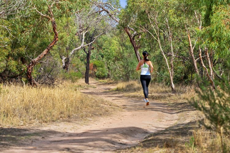 Stage 23 Somerset Estate, Bannockburn