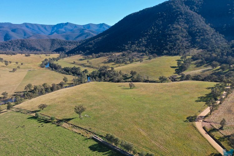 Wonangatta Road, Dargo