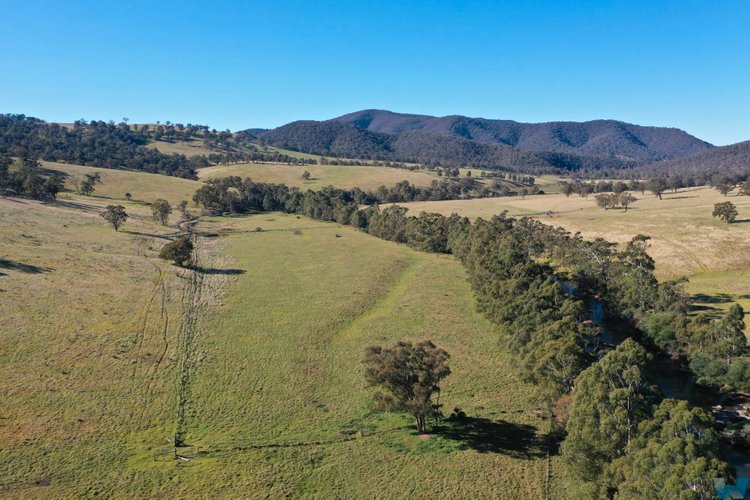 Wonangatta Road, Dargo