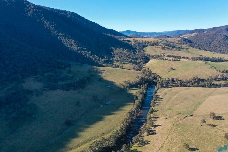 Wonangatta Road, Dargo