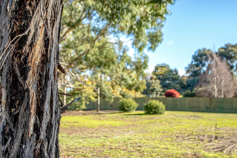 1 Malwood Place, Forcett, TAS, 7173