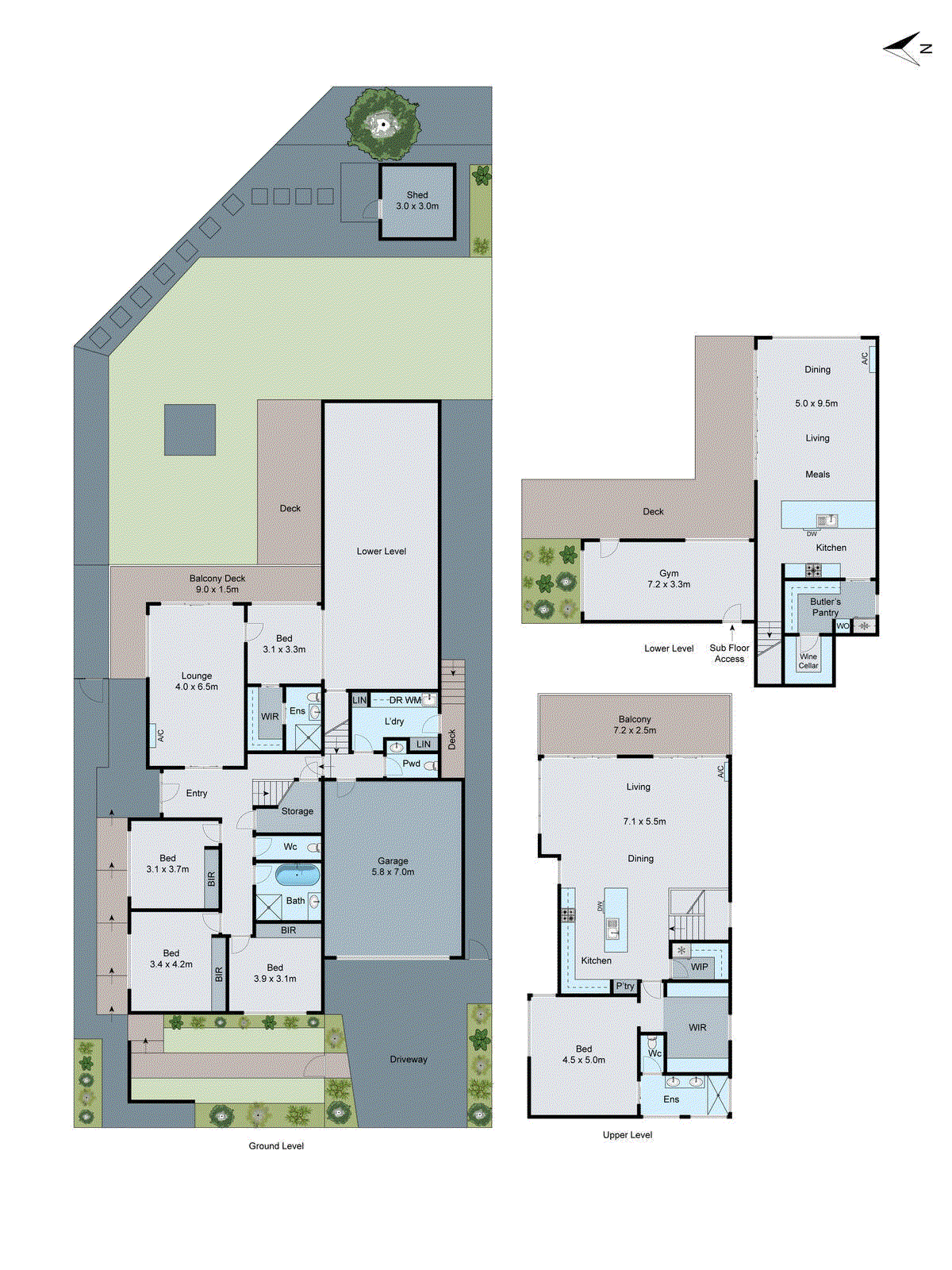 11 Murray Street, Hamlyn Heights VIC 3215 - Floorplan