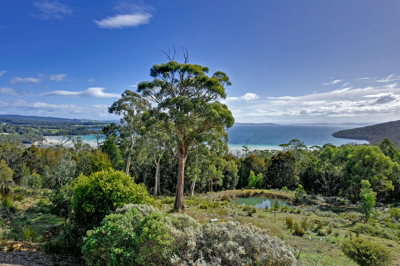 111 Nubeena Road, Taranna, TAS, 7180
