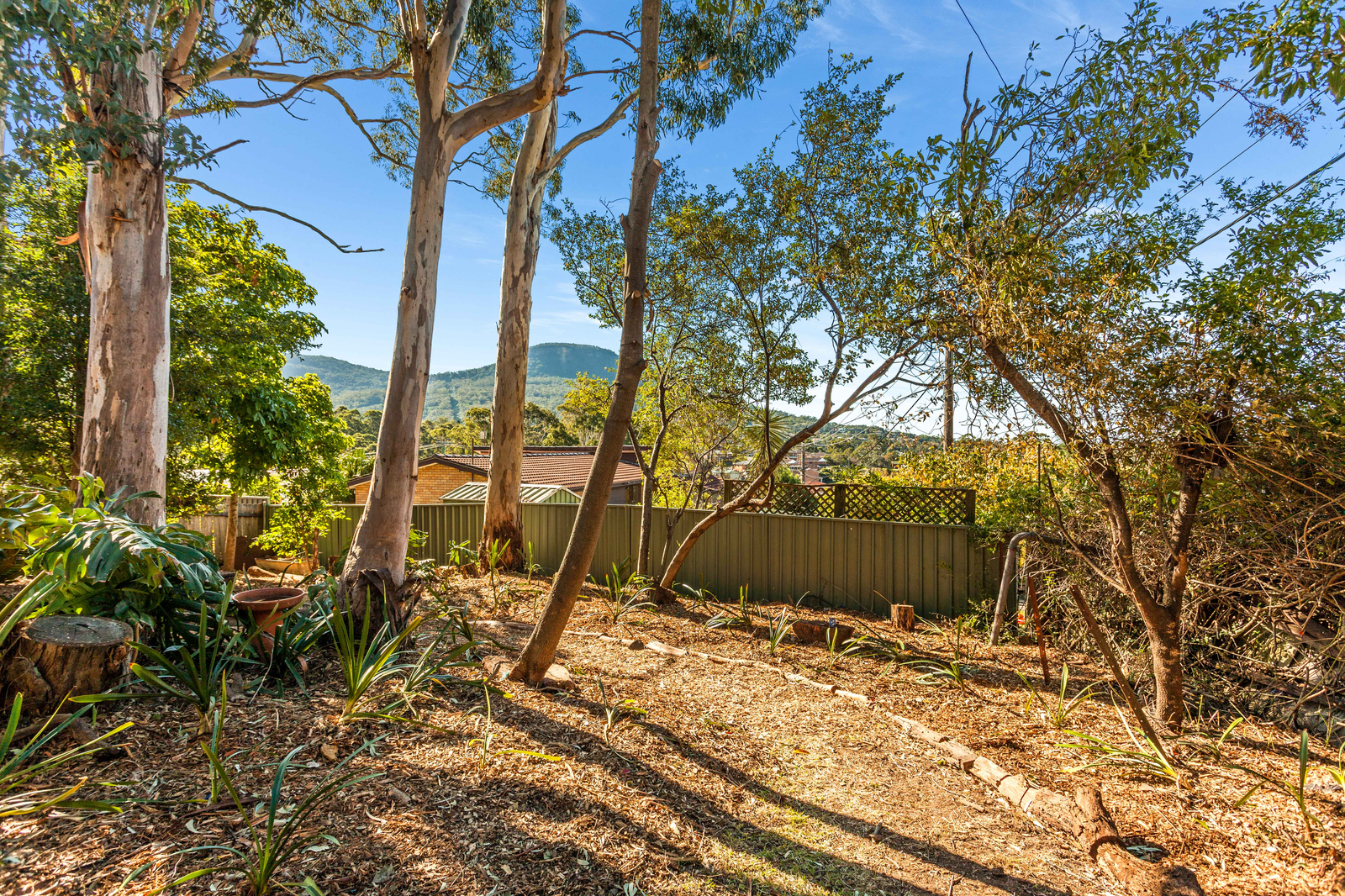 112 Bellevue Road, Figtree NSW 2525