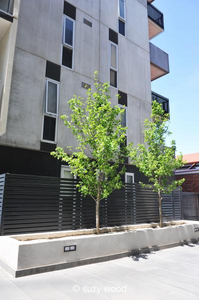 116/2 Plenty Road, Preston VIC 3072 