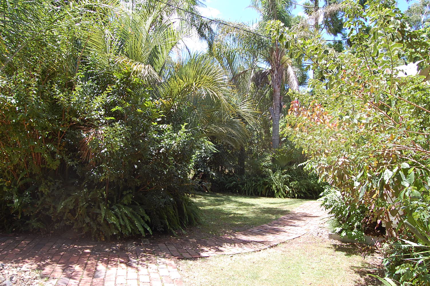 1183 Paddy's Flat Road TABULAM 11