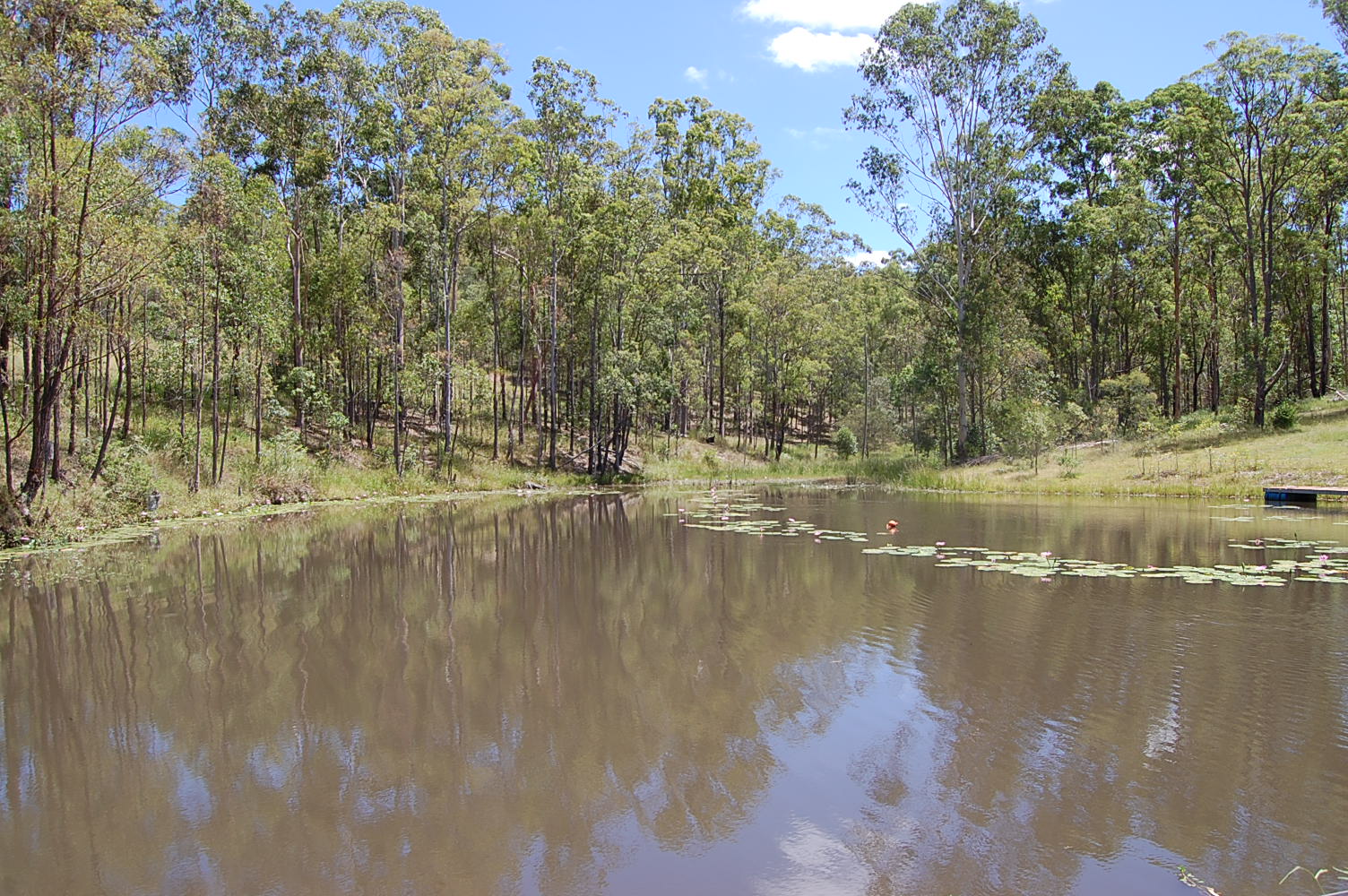 1183 Paddy's Flat Road TABULAM 12