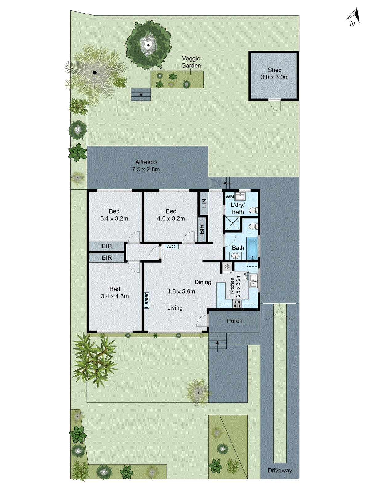 12 Hitchcock Street, Breakwater VIC 3219 - Floorplan