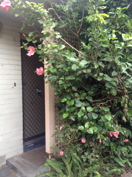 12/37 Grice Crescent, Essendon VIC 3040 