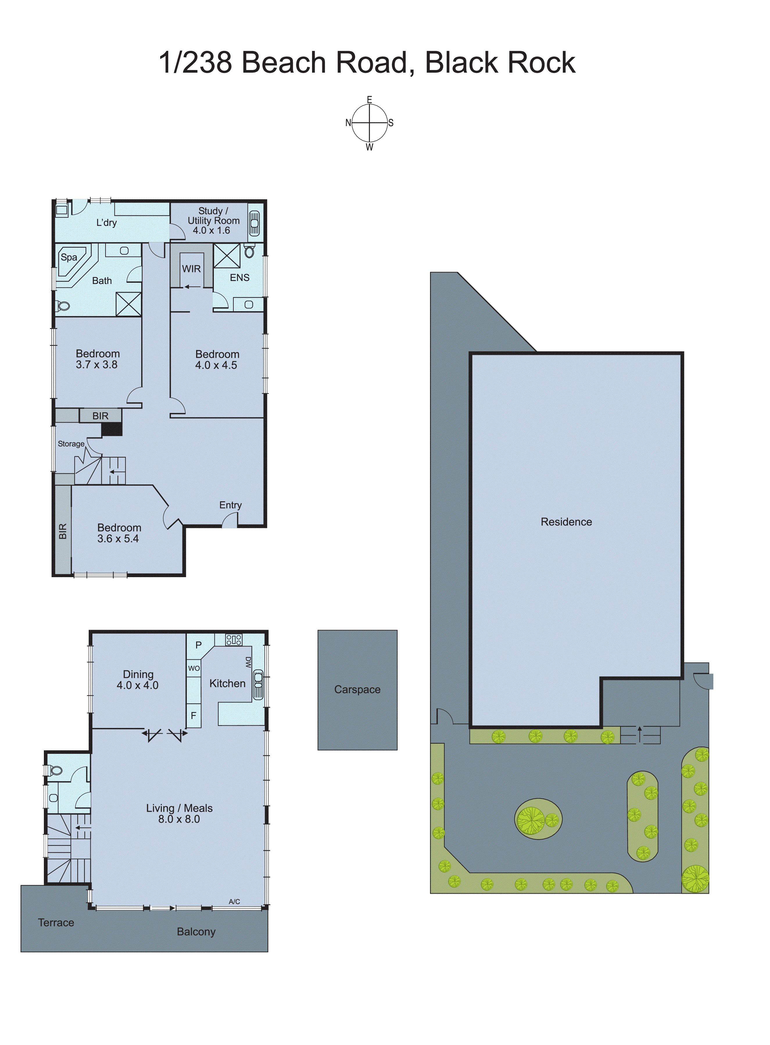 1/238 Beach Road, Black Rock VIC 3193 - Floorplan