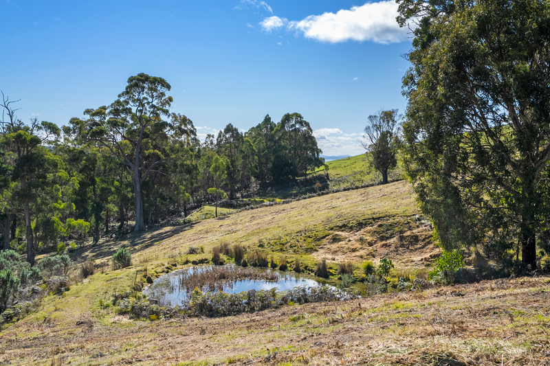 129 Littles Road, Premaydena, TAS, 7185
