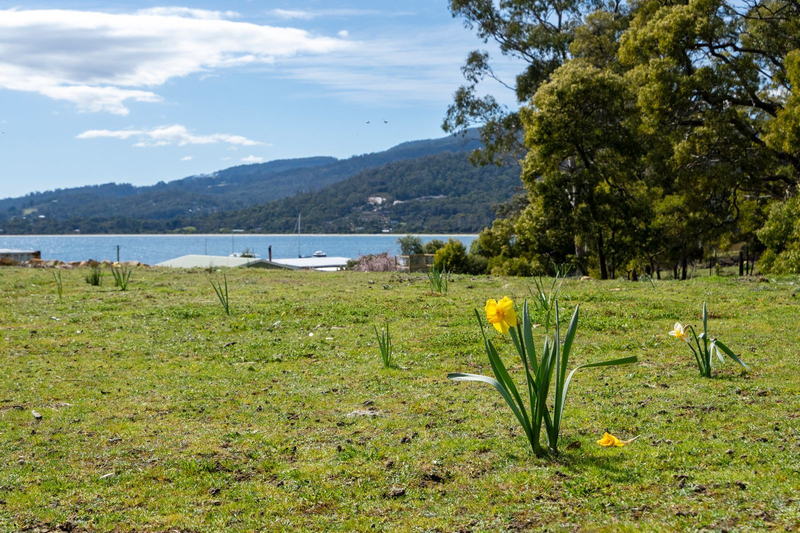 13 Noyes Road, White Beach, TAS, 7184