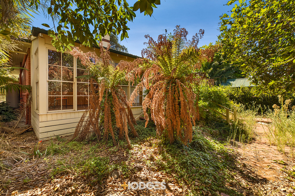 13 Parnell Street Elsternwick