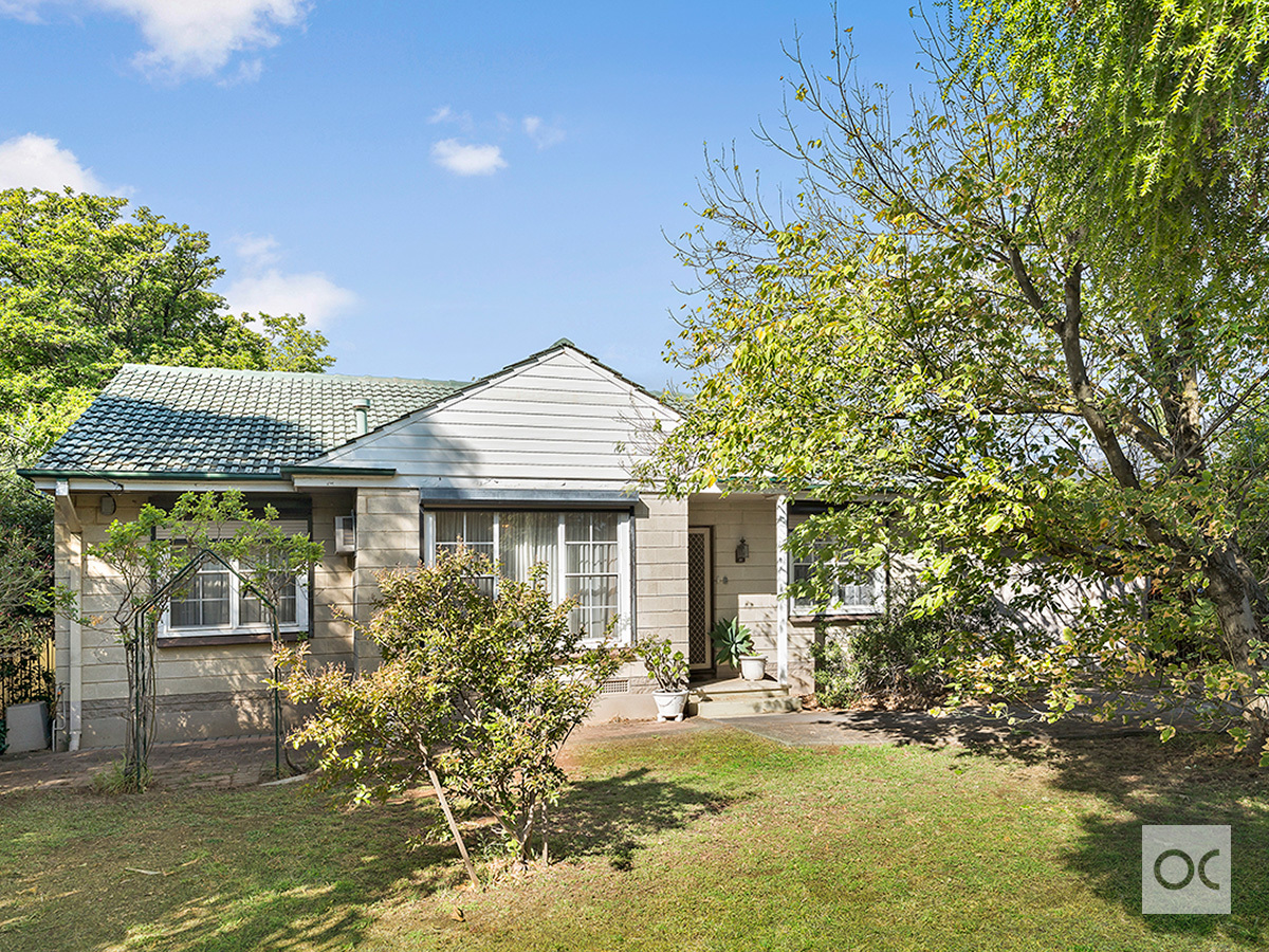 13 Rodney Avenue