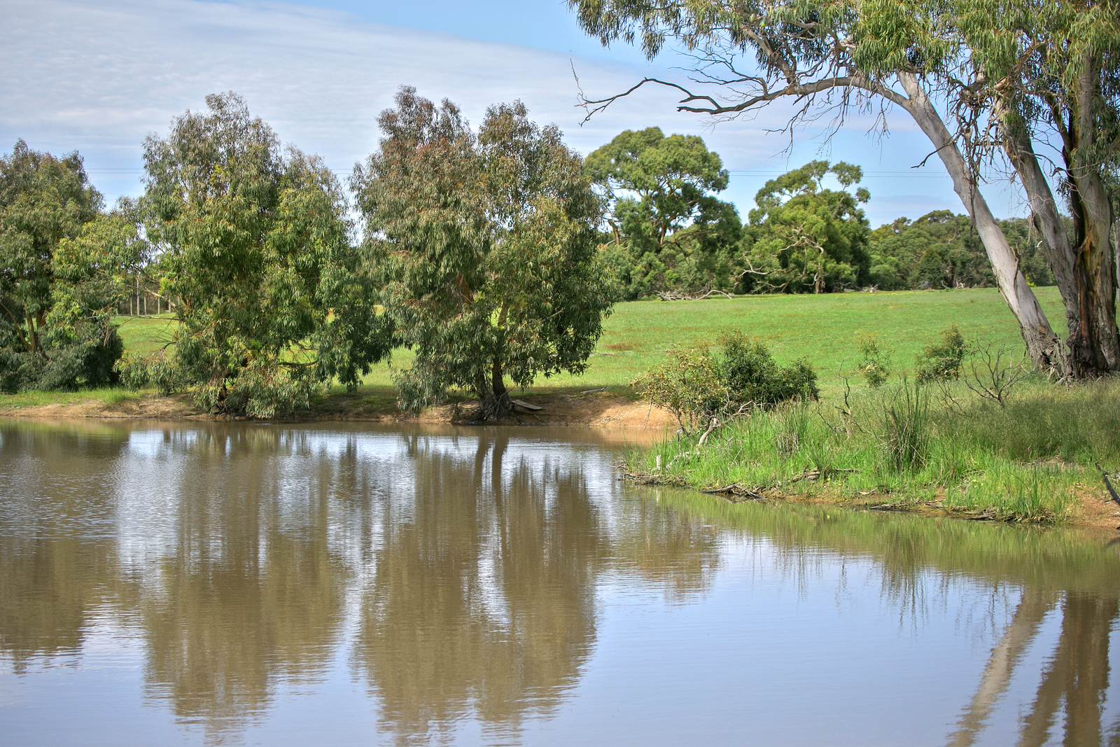 135 Loutitt Bay Road, Freshwater Creek RT Edgar