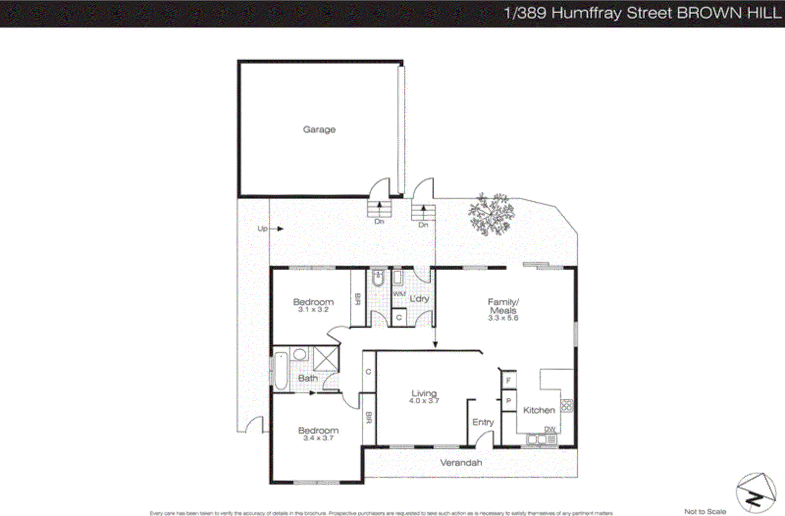 1/389 Humffray St N, Brown Hill VIC 3350 - Floorplan