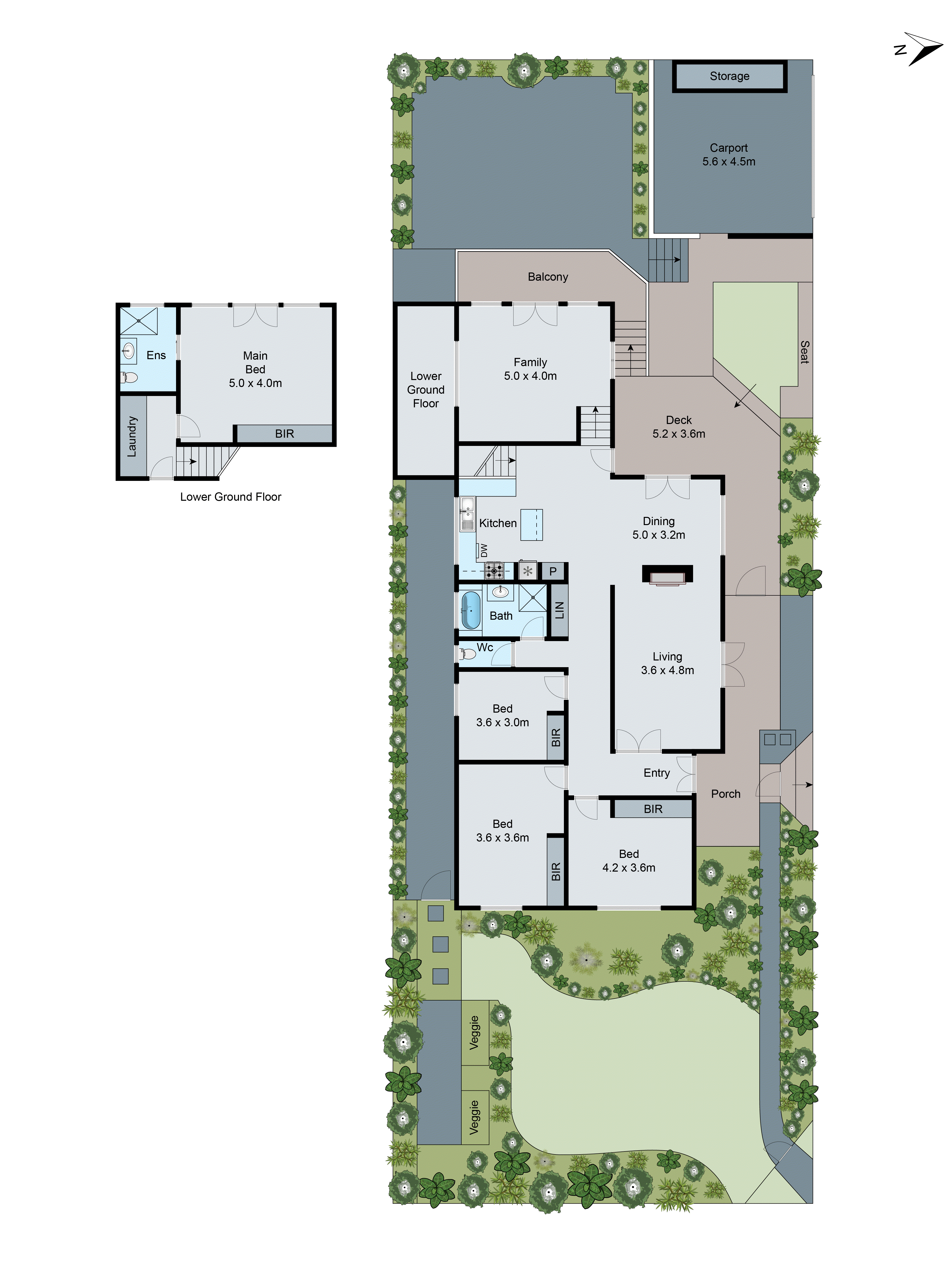 14 Harcourt Street, Newtown VIC 3220 - Floorplan