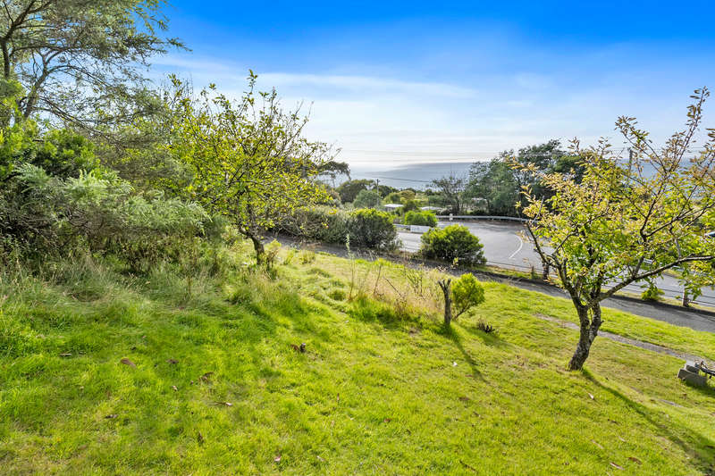 14 Hawks Lane, Eaglehawk Neck, TAS, 7179