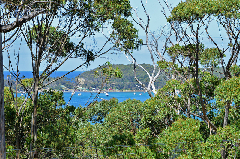 142 Blowhole Road, Eaglehawk Neck, TAS, 7179