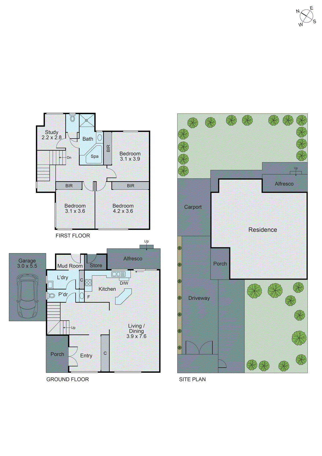 1/44 Thomas Street, Brighton East VIC 3187 - Floorplan