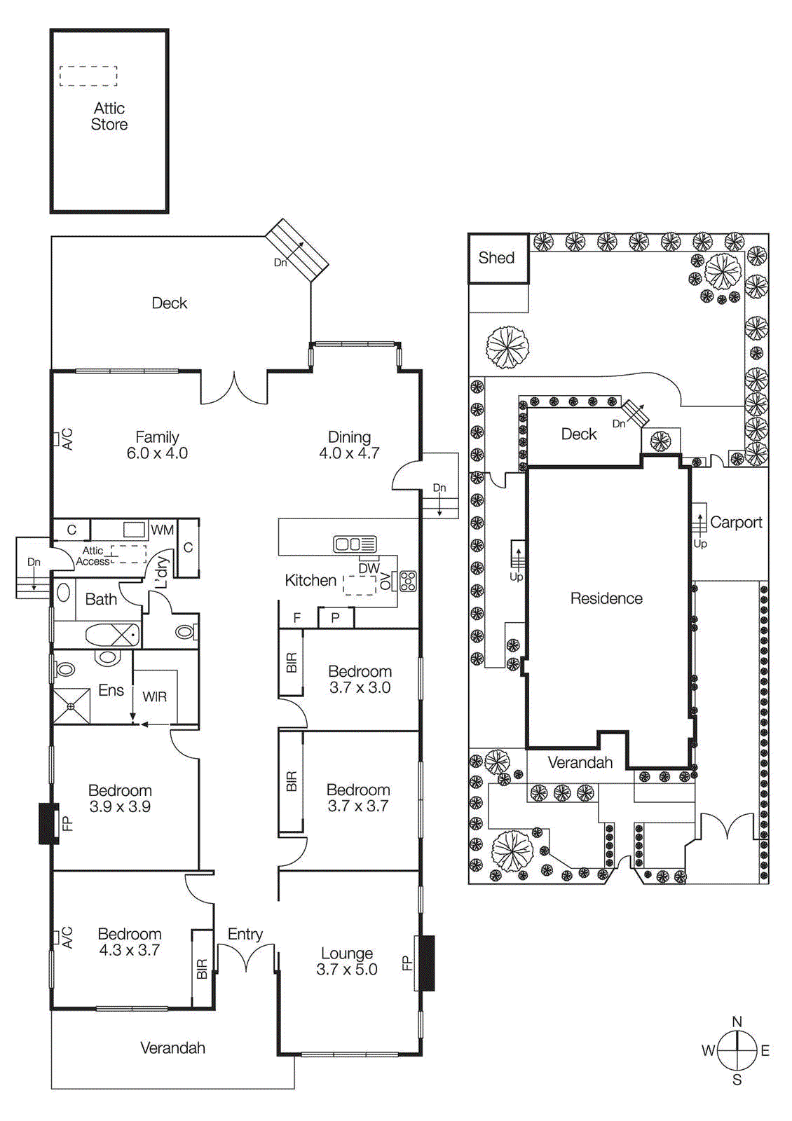 145 Thomas Street, Hampton VIC 3188 - Floorplan