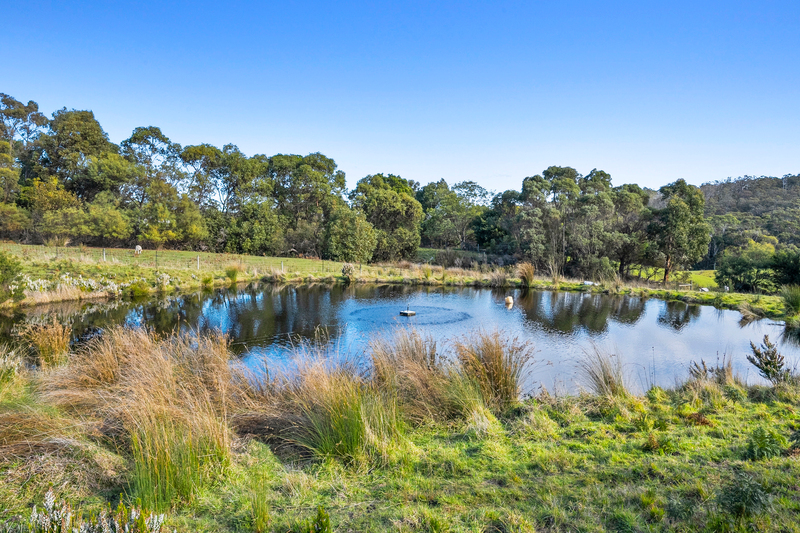 1480 Nubeena Road, Nubeena, TAS, 7184