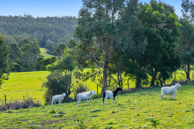 1480 Nubeena Road, Nubeena, TAS, 7184