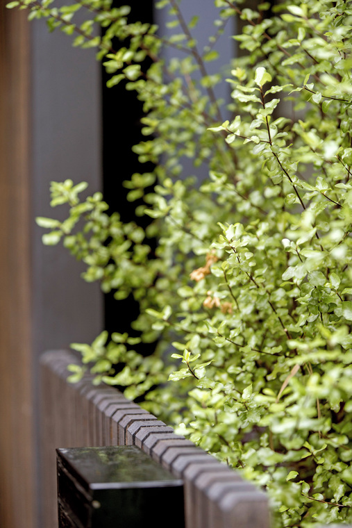 151 Market Street South Melbourne - Photo 2 151 Market Street South Melbourne - Photo 2