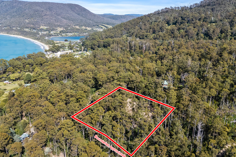 16 Lyndal Drive, Eaglehawk Neck, TAS, 7179