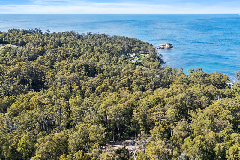 16 Lyndal Drive, Eaglehawk Neck, TAS, 7179