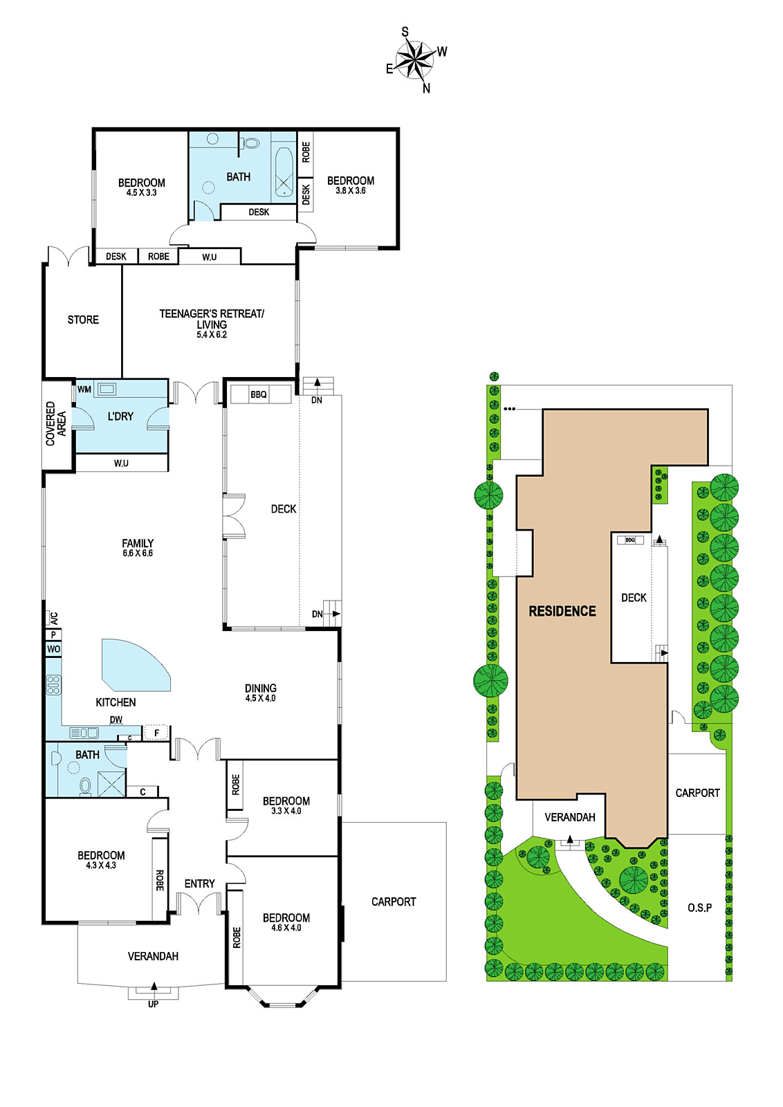 16 Olive Street, Malvern East
- Floorplan 1