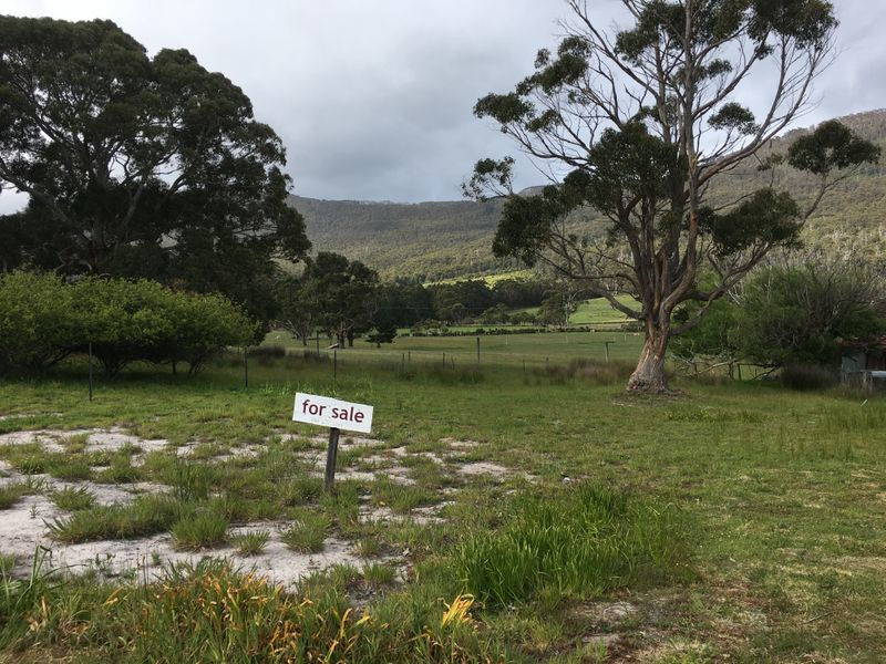 16 Tasman Arch Road, EAGLEHAWK NECK, TAS, 7179