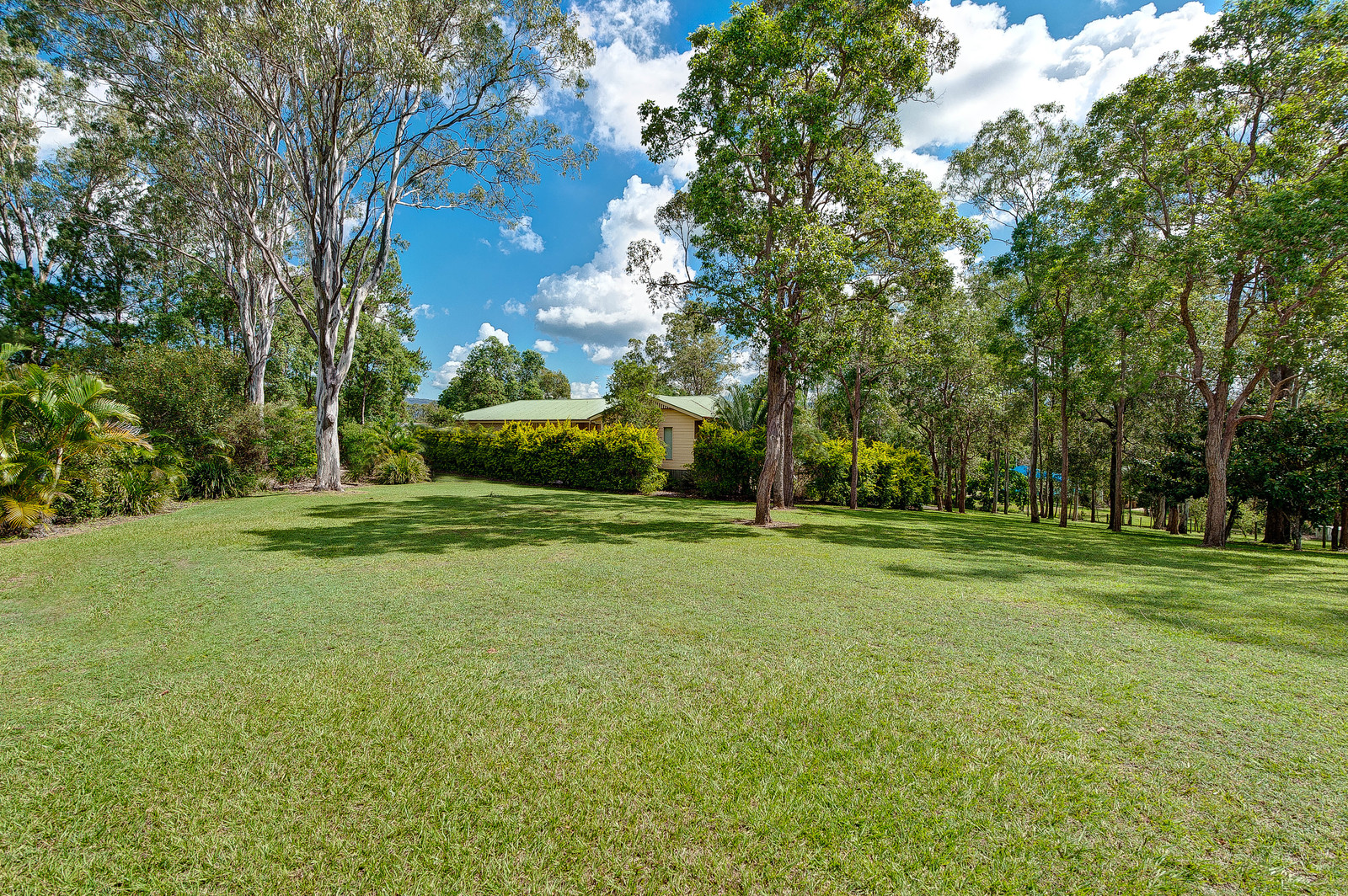 16 Trentham Place, Samford Village QLD 4520