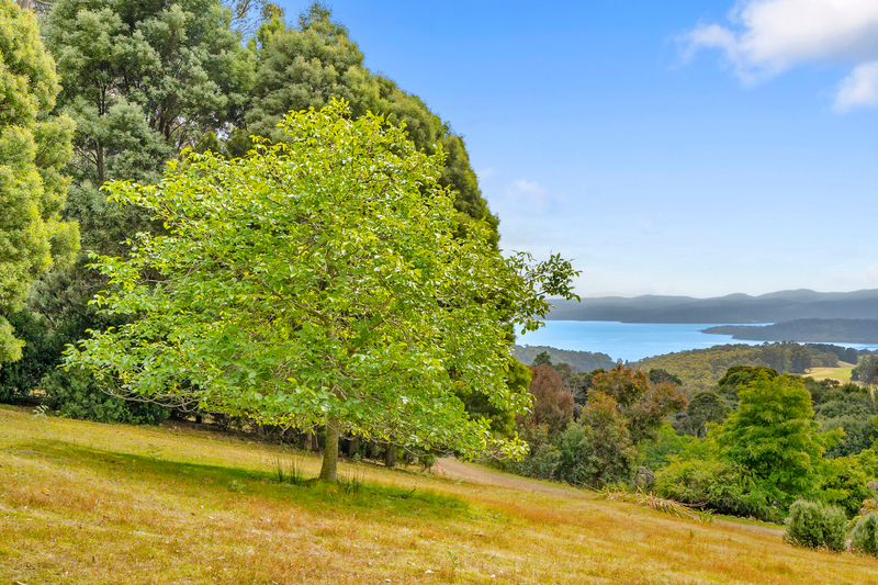 167 Grooms Hill Road, Koonya, TAS, 7187
