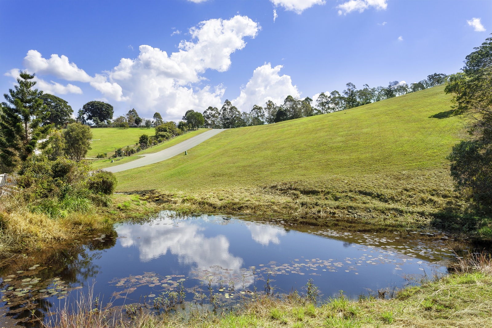 1721 Ramsay Road, Clear Mountain QLD 4500