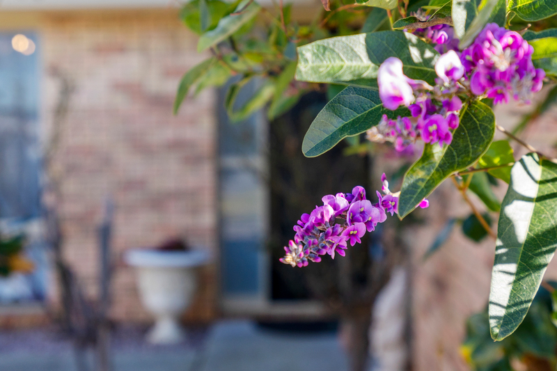 17 Amelia Court, Sorell, TAS, 7172