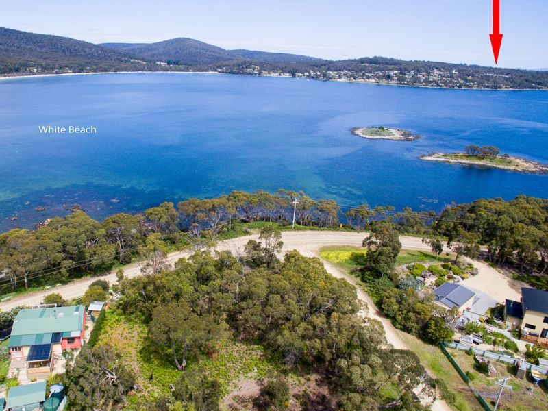17 Olive Place, WHITE BEACH, TAS, 7184