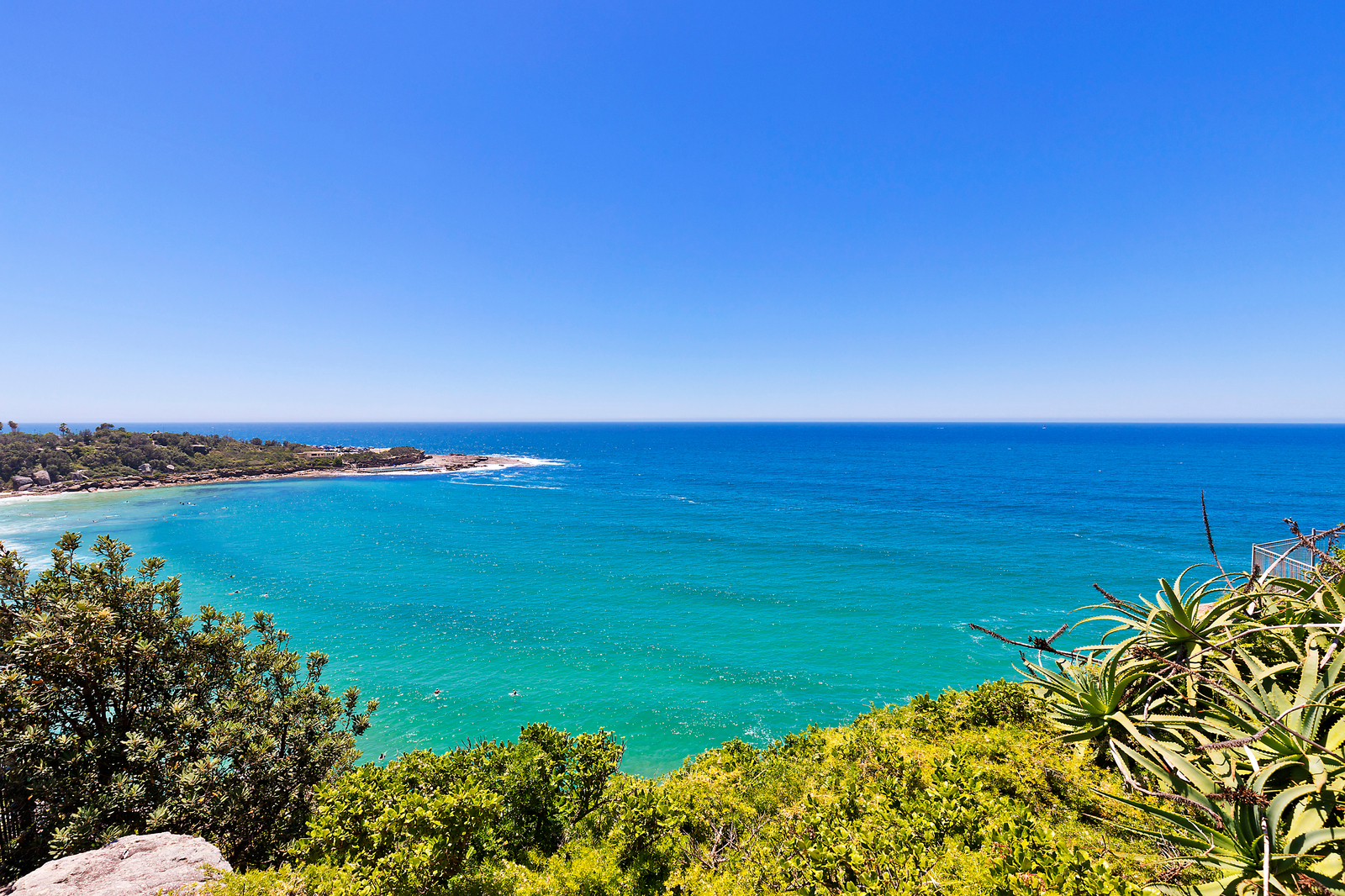 17 Pavilion Street Queenscliff Nsw 2096