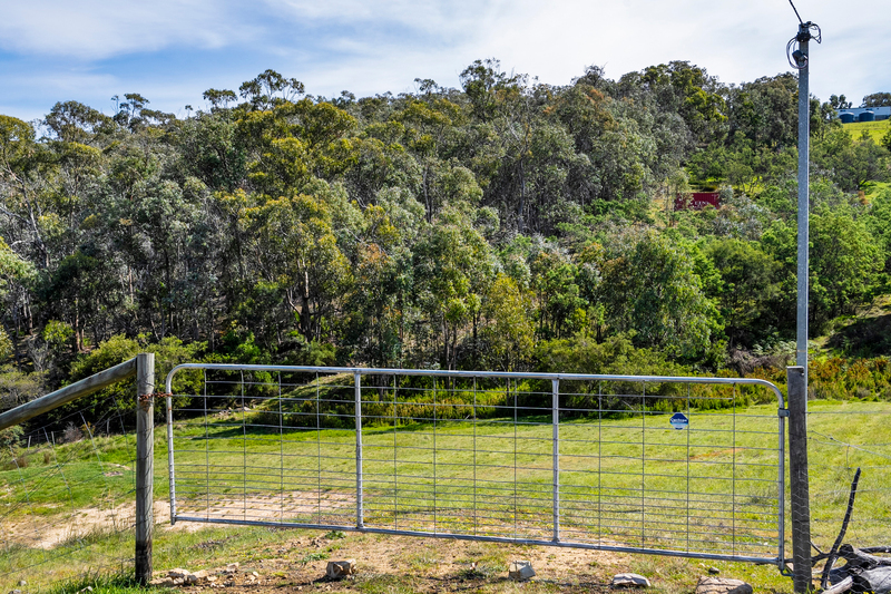 17 Topley Drive, Forcett, TAS, 7173