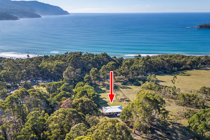 178 Blowhole Road, Eaglehawk Neck, TAS, 7179