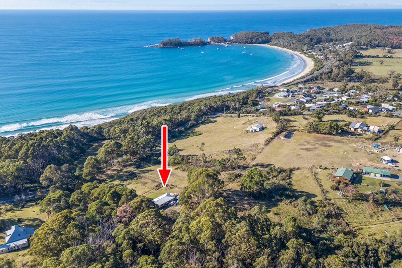 178 Blowhole Road, Eaglehawk Neck, TAS, 7179