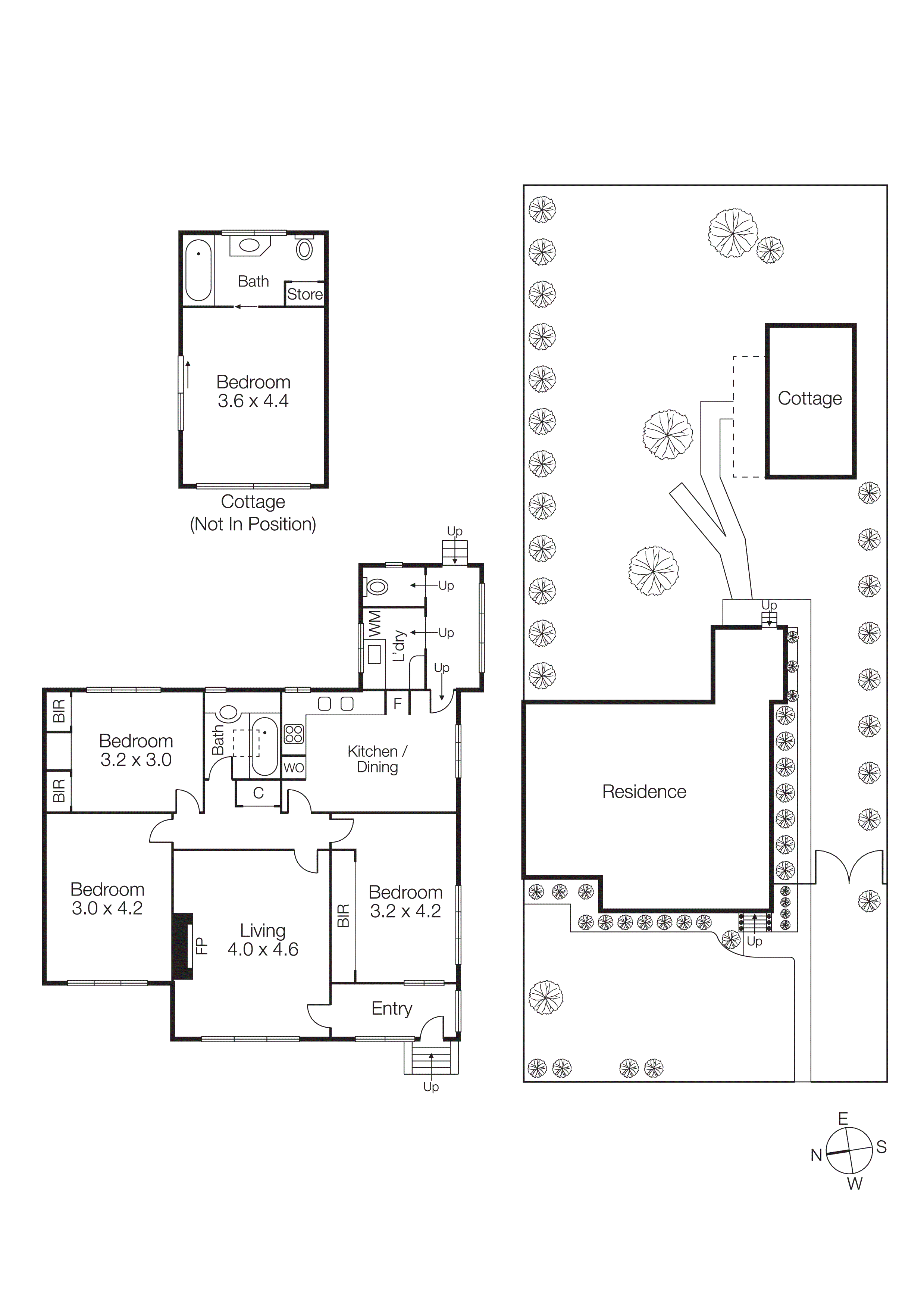 18 Valerian Street, Hampton VIC 3188 - Floorplan