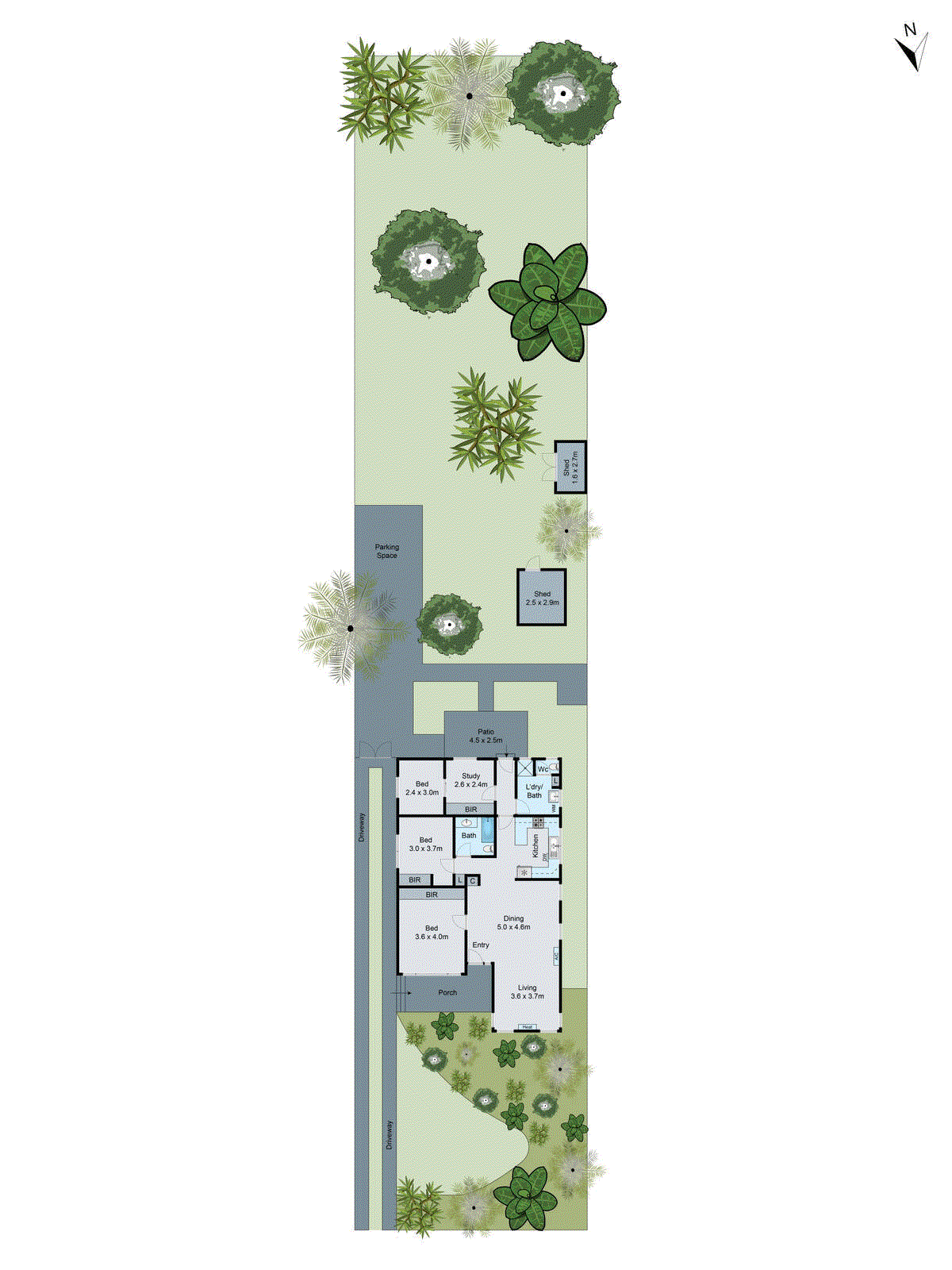 185 Skene Street, Newtown VIC 3220 - Floorplan