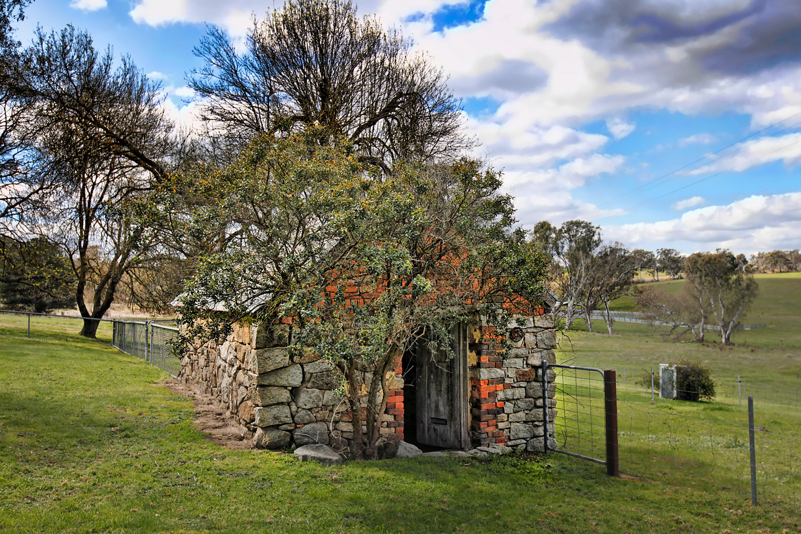 186 BendigoSutton Grange Road, Elphinstone RT Edgar