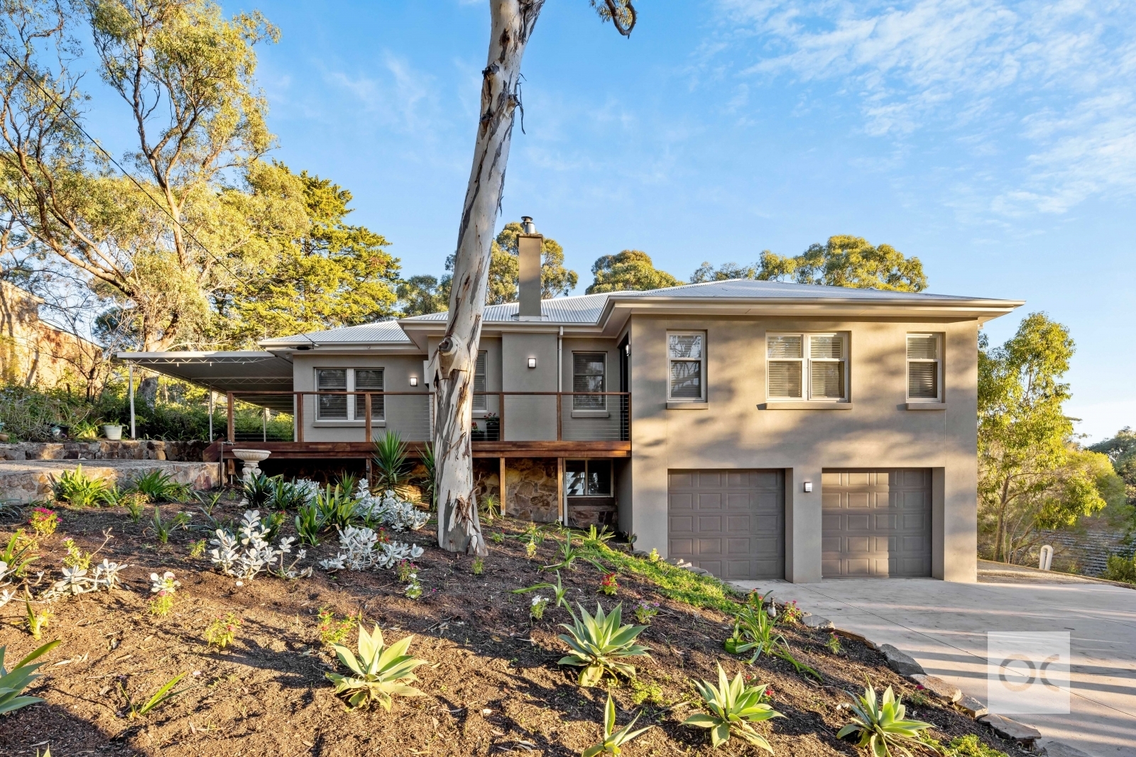 19 Edward Street