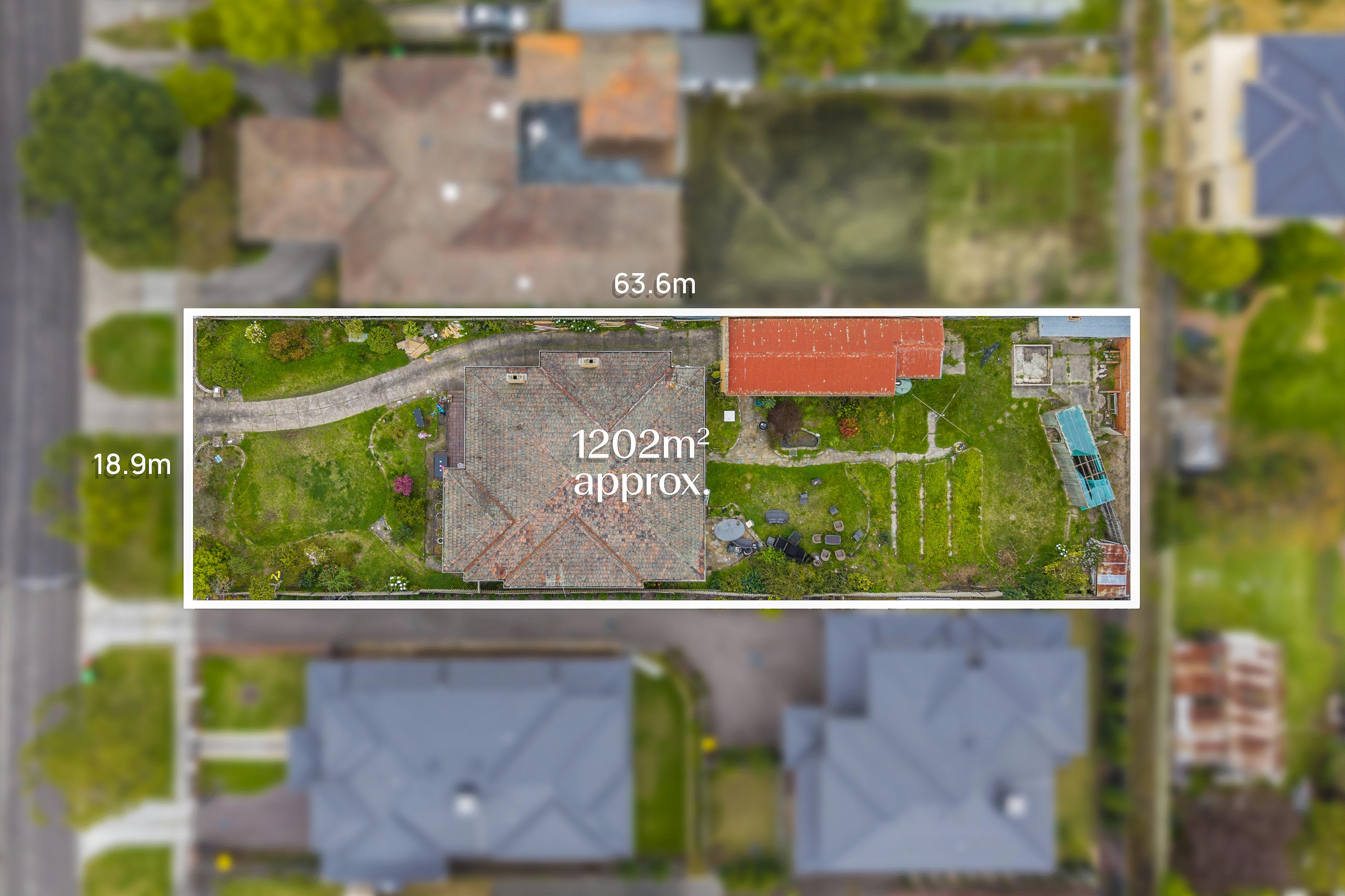 19 Graham Place, Box Hill VIC 3128 - Floorplan