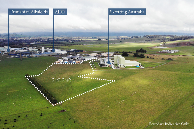 19 Integrity Drive, Westbury, TAS, 7303